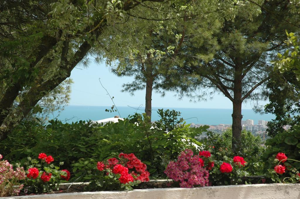 Colle Moro - B&B Villa Maria 치타 산트  안젤로 외부 사진